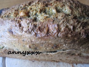 Thermomix Blubb Brot Spinat  (3)