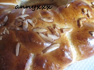 Thermomix Oster Zopf  (3)