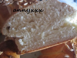 Thermomix Oster Zopf  (4)